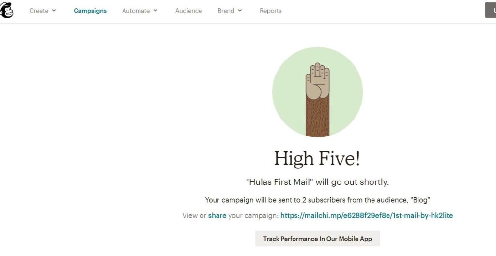 How To Add Email Subscription in WordPress